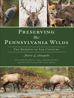 cover image of Preserving the Pennsylvania Wilds